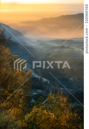 Bromo in the beautiful morning 108966568