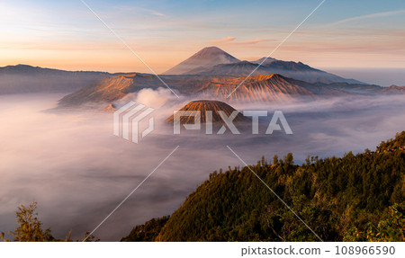 Bromo in the beautiful morning 108966590