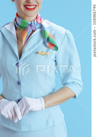 Closeup on smiling female flight attendant on blue 108966740