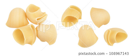 lumaconi pasta isolated on white background with full depth of field. Top view. Flat lay 108967143