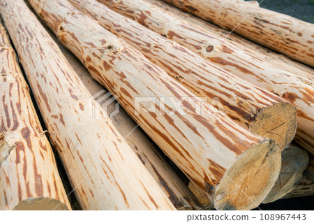 A close-up photograph of a pile of rough-textured wooden logs stacked on top of each other. Sawmill, agriculture. 108967443