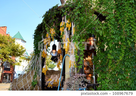 Zelenogradsk, Kurortny Prospekt, Kaliningrad region, souvenir shop, corn decorations for the autumn holiday Zelenogradsk, Kurortny Prospekt, Kaliningrad region, souvenir shop, corn decorations for the autumn holiday 108967679