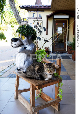 Zelenogradsk, Kurortny Prospekt, Kaliningrad region, souvenir shop, cute gray cat Zelenogradsk, Kurortny Prospekt, Kaliningrad region, souvenir shop, cute gray cat 108967680