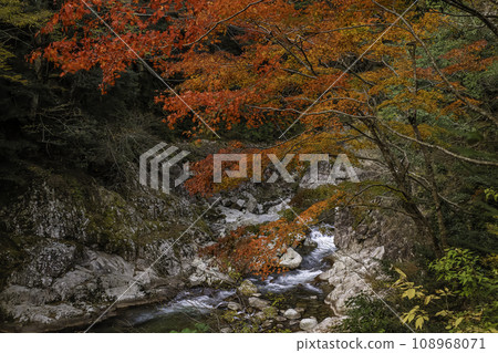 特別名勝三段峽黑淵路線的風景 108968071