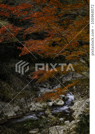 特別名勝三段峽黑淵路線的風景 特別名勝三段峽黑淵路線的風景 108968072