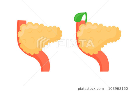 Illustration of pancreas as human internal organ. Healthy pancreas medical examples. Illustration of pancreas as human internal organ. Healthy pancreas medical examples. 108968160