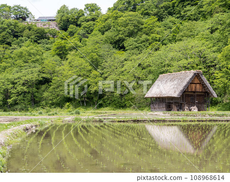 [Shirakawa-go] Walking through the gassho-zukuri village before rice planting 108968614