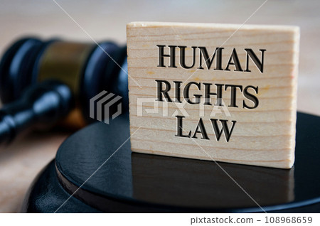 Human Rights Law text engraved on wooden block with gavel background. Legal concept Human Rights Law text engraved on wooden block with gavel background. Legal concept 108968659