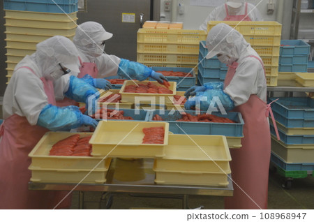 明太公園神戶散打 108968947