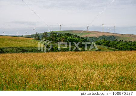 Landscape of meadow and windmill Landscape of meadow and windmill 108970187