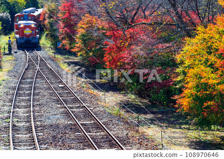 Autumn leaves and trolley train 2 108970646