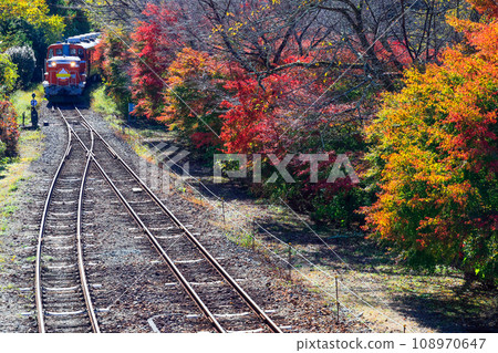 Autumn leaves and trolley train 3 108970647