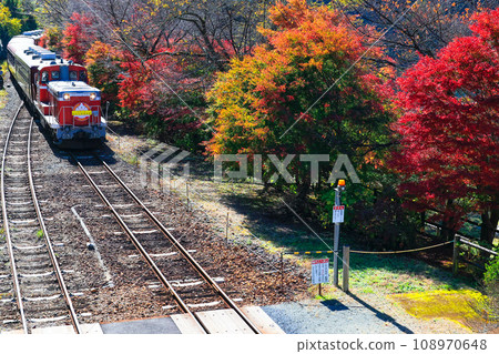 autumn trolley train 2 108970648
