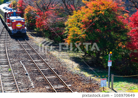autumn trolley train 3 autumn trolley train 3 108970649