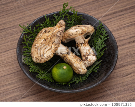 松茸蘑菇 108971355