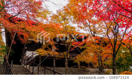 Banshu Kiyomizu Temple in autumn leaves Banshu Kiyomizu Temple in autumn leaves 108971524