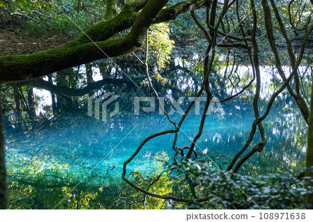 Pond made of spring water 108971638