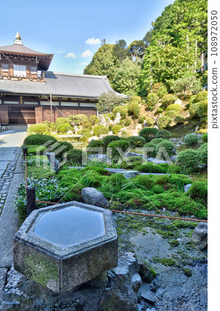 Tofukuji temple hall and garden 108972050