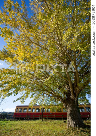 秋葉銀杏和復古電車小湊鐵道上作站 秋葉銀杏和復古電車小湊鐵道上作站 108972904