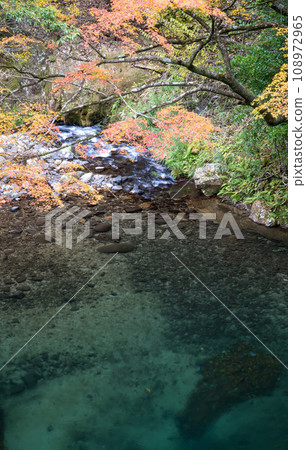 達克馬山谷的風景，在初秋的清流和紅葉的自然風光中，您可以得到治愈 108972965