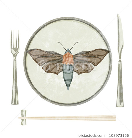 Hand-drawn watercolor style illustration of a moth on a plate 108973166