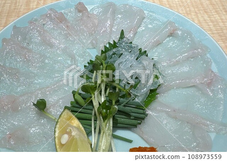 Blowfish 108973559