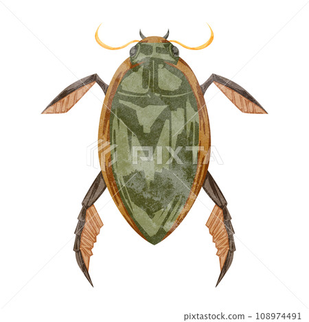 Hand-drawn watercolor style illustration of Gengoro 108974491