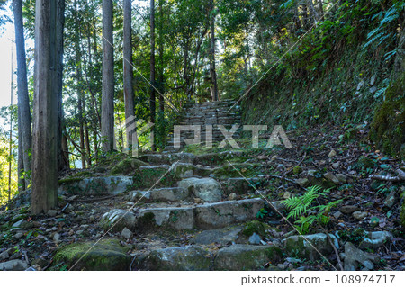 Kumano Kodo (Naka-kaido) Kumano Kodo (Naka-kaido) 108974717