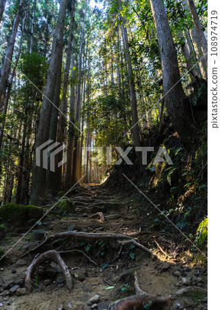 Kumano Kodo (Naka-kaido) Kumano Kodo (Naka-kaido) 108974719