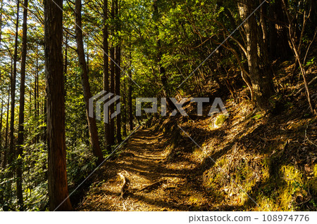 Kumano Kodo(Naka-kaido) Kumano Kodo(Naka-kaido) 108974776