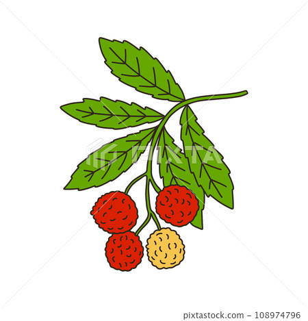 草莓樹 108974796
