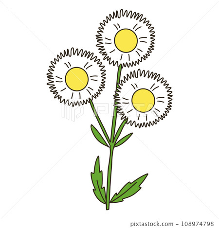 燈盞細辛 108974798