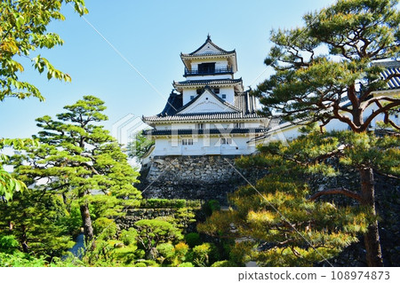 Kochi Castle 108974873