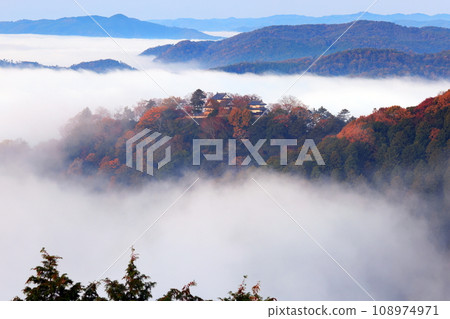 天空山城7007 108974971