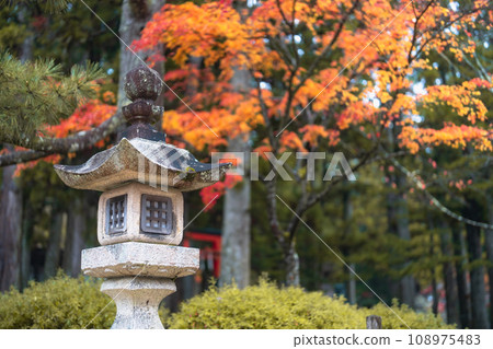 Lanterns and autumn leaves Lanterns and autumn leaves 108975483