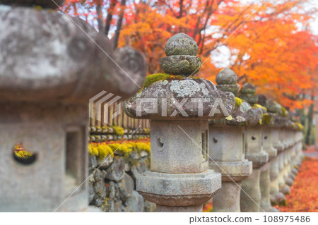 Stone lantern and autumn leaves Stone lantern and autumn leaves 108975486