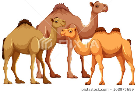 Camel Family Cartoon Camel Family Cartoon 108975699