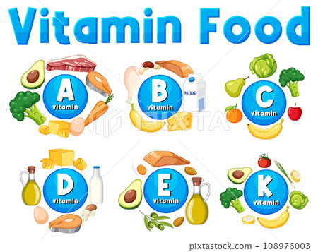 Educational Group of Vitamin Icons and Food Examples Educational Group of Vitamin Icons and Food Examples 108976003