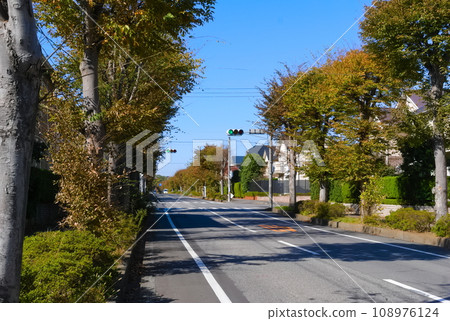 Ibaraki Prefecture Moriya City Taniida Inatoi Station Line November 2023 108976124