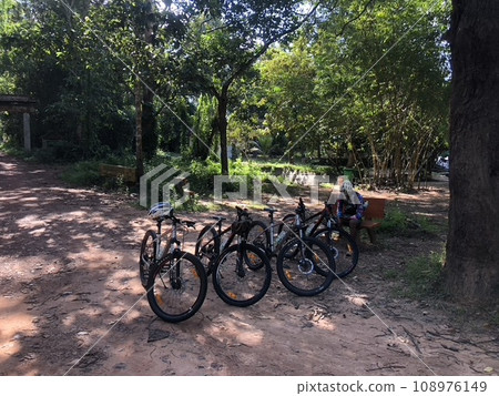 Cycling in Angkor ruins, Cambodia 108976149