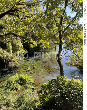 靜岡縣駿東郡清水町柿田川公園 靜岡縣駿東郡清水町柿田川公園 108976528