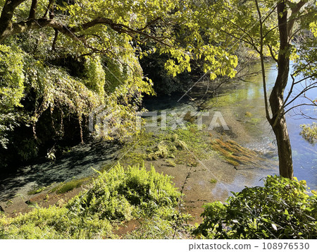 Kakitagawa Park Shimizu Town, Sunto District, Shizuoka Prefecture 108976530