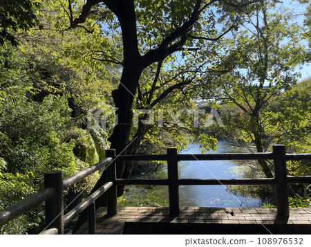 Kakitagawa Park Shimizu Town, Sunto District, Shizuoka Prefecture Kakitagawa Park Shimizu Town, Sunto District, Shizuoka Prefecture 108976532