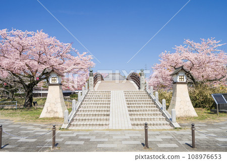 Oguchi Town during cherry blossom season Horio Ato Park Amado and Sashimi Bridge 108976653
