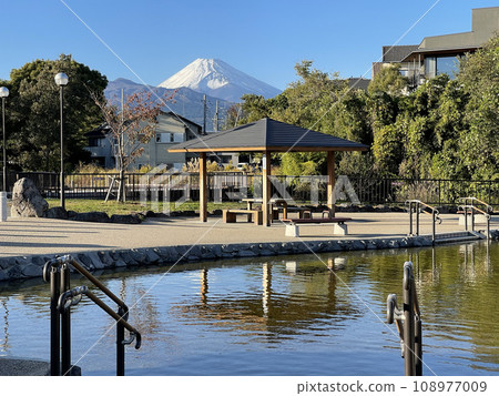 靜岡縣駿東郡清水町丸池公園玉川 108977009