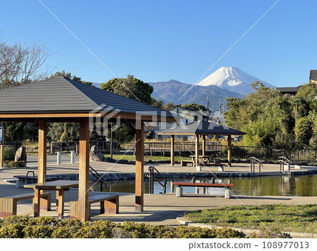靜岡縣駿東郡清水町丸池公園玉川 108977013
