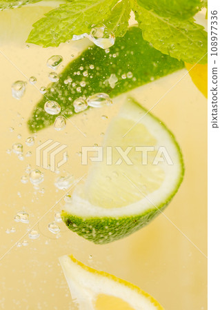 lemon, lime, mint and soda 108977336