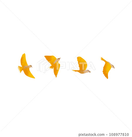 4 types of illustrations of yellow birds flying in the sky with textures 108977810
