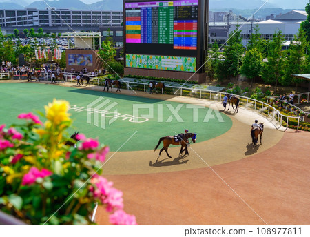 Sapporo Racecourse Paddock 108977811