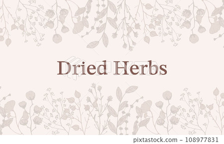 Border Dry Herbs, Dried Flowers. Natural medicine. Vector banner with branches twigs cotton flowers. 108977831